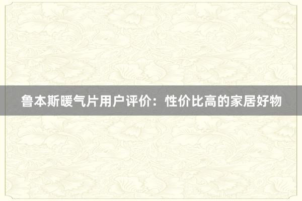 鲁本斯暖气片用户评价：性价比高的家居好物